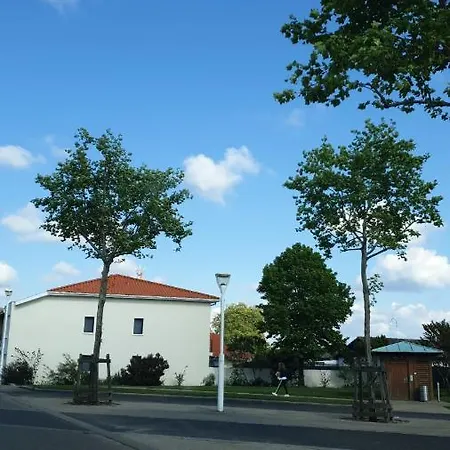 Gascogne \ 116 * Бискаррос